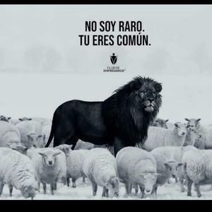 Meet your Posher, Juan